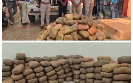 ୨କ୍ଵିଣ୍ଟାଲ ଗଞ୍ଜେଇ ଜବତ ସହ ୨ଜଣଙ୍କୁ ଗିରଫ