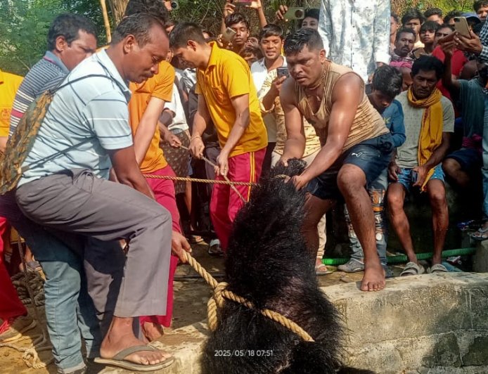 କୂଅ ରେ ପଡ଼ି  ଭାଲୁ ର ମୃତ୍ୟୁ